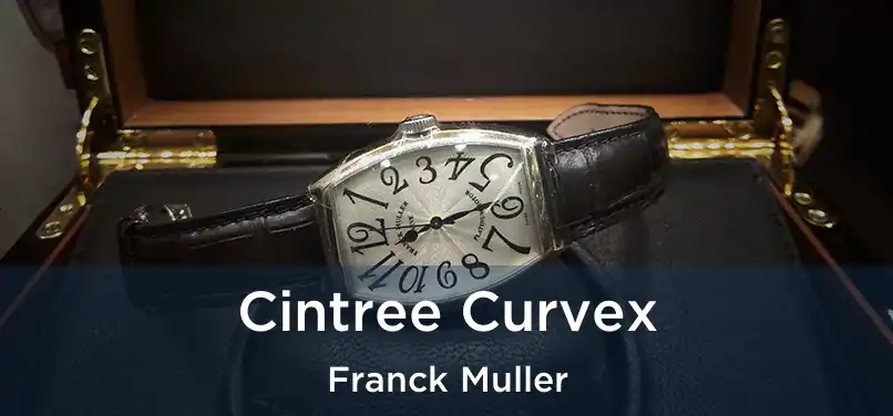  Cintree Curvex Franck Muller